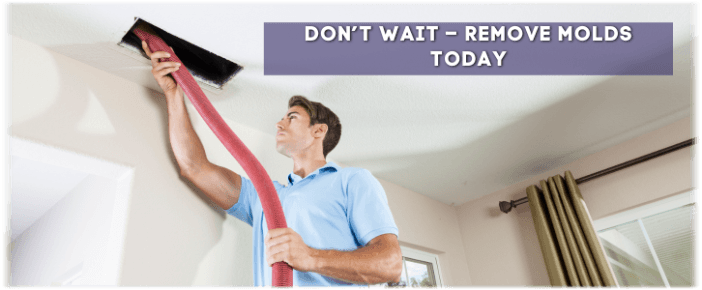 Air Duct Mold Removal in DC